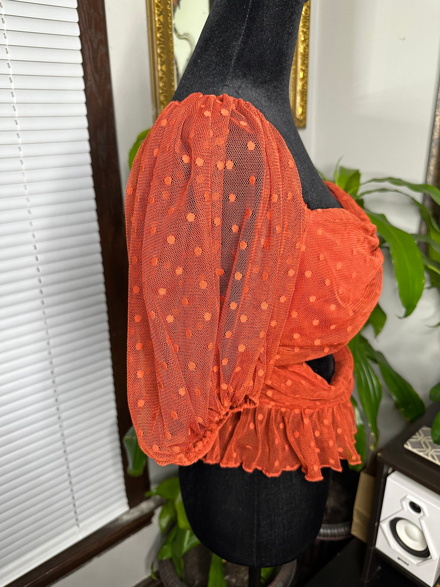 Lace Polka Dot Puff Sleeve Top