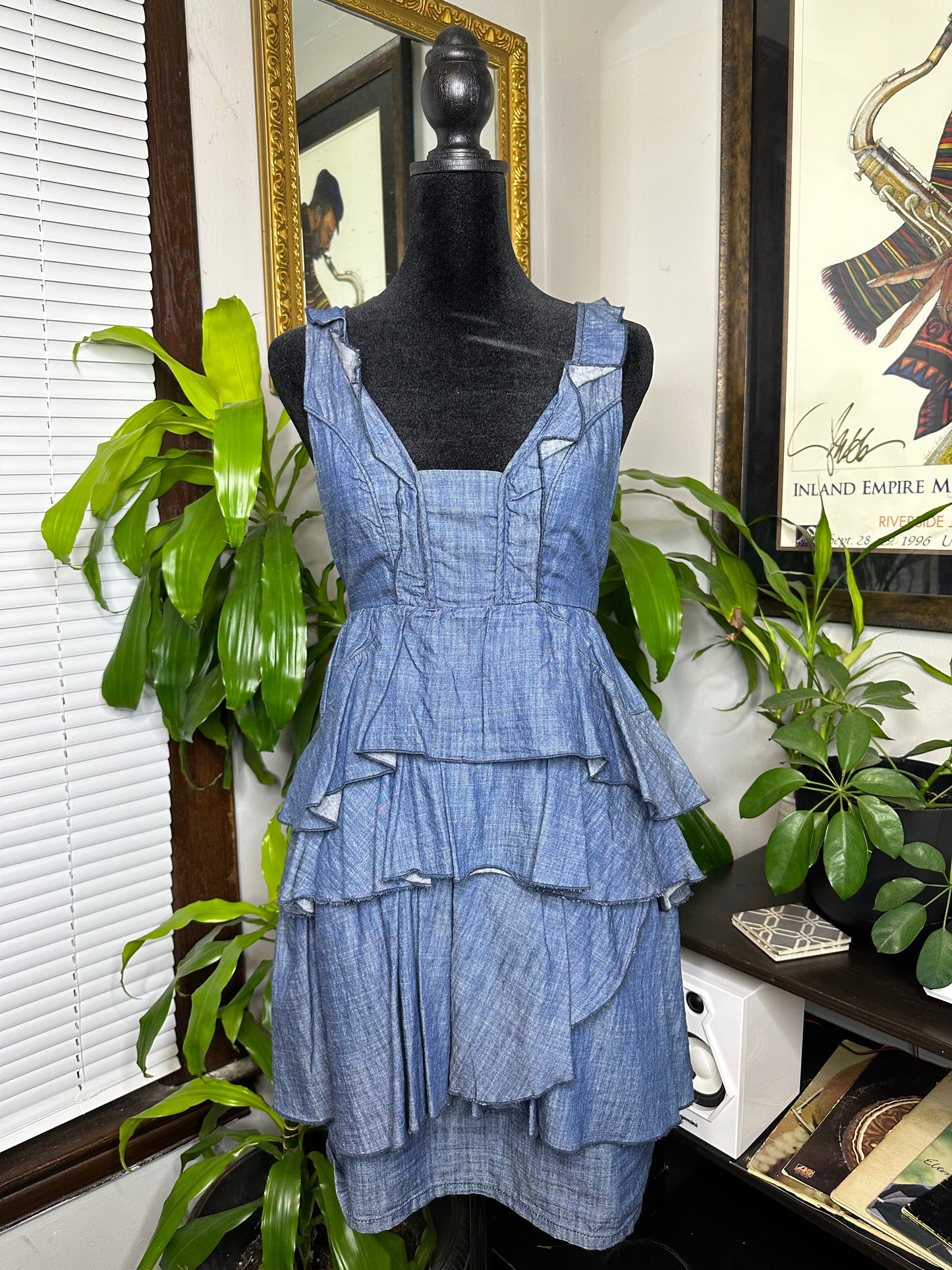 Denim Layered Ruffle Dress