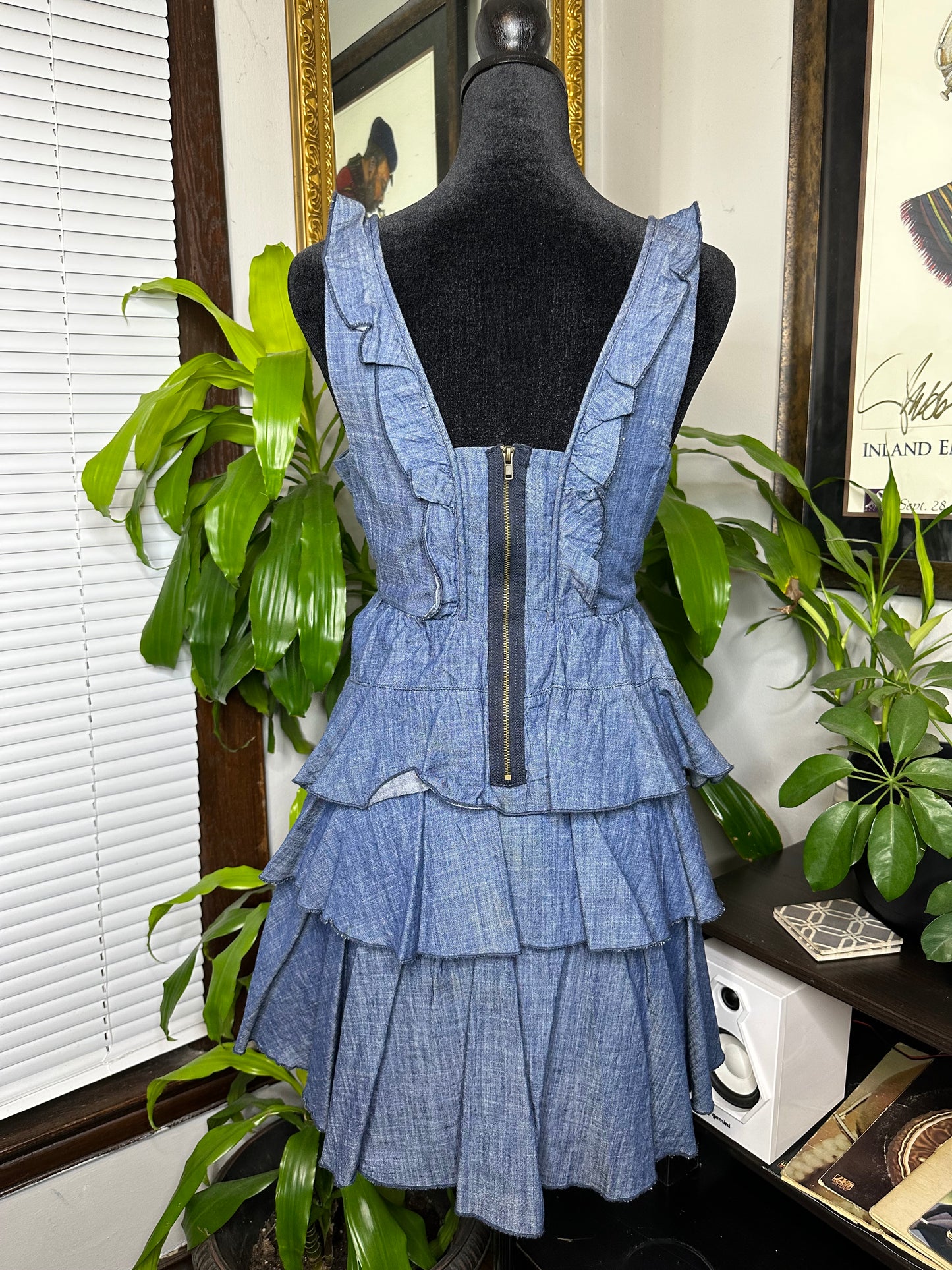 Denim Layered Ruffle Dress